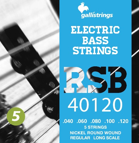 Galli Strings 갈리 스트링 - RSB40120 - 5 STRINGS REGULAR (Nickel) 니켈 5현 베이스 스트링 (레귤러 게이지)
