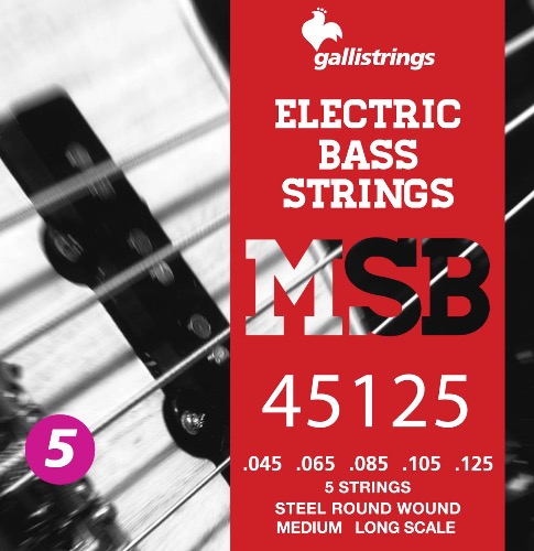 Galli Strings 갈리 스트링 - MSB45125 - 5 STRINGS MEDIUM (Stainless Steel) 스테인레스 스틸 5현 베이스 스트링 (미디엄 게이지)