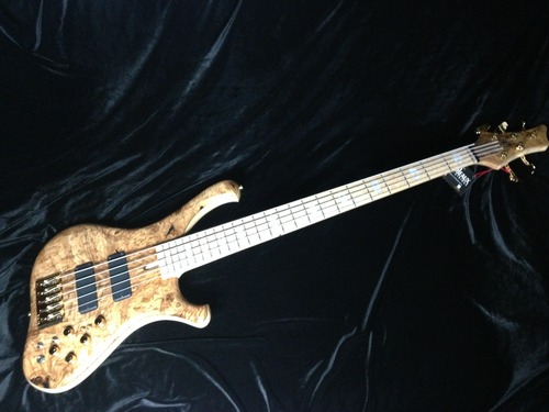 Consat custom 5string neck-through(sold out)