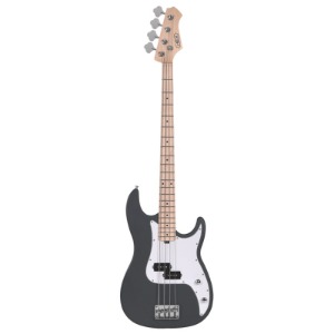 HEX R100R S/SG Bass Guitar 헥스 베이스 기타